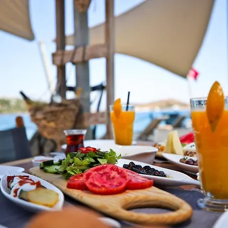Hotel Elista & 3*
