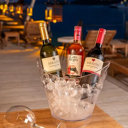 Hotel Elista &