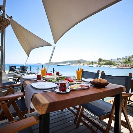 Elista & 골터크부쿠