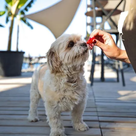 Elista & Golturkbuku