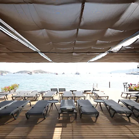 Hotel Elista & 3*