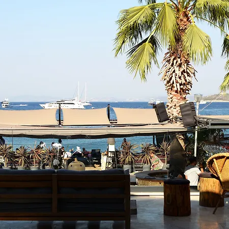 Elista & 골터크부쿠