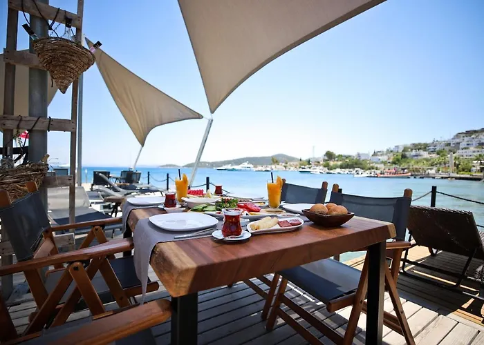 Elista & ゴルトゥルブク