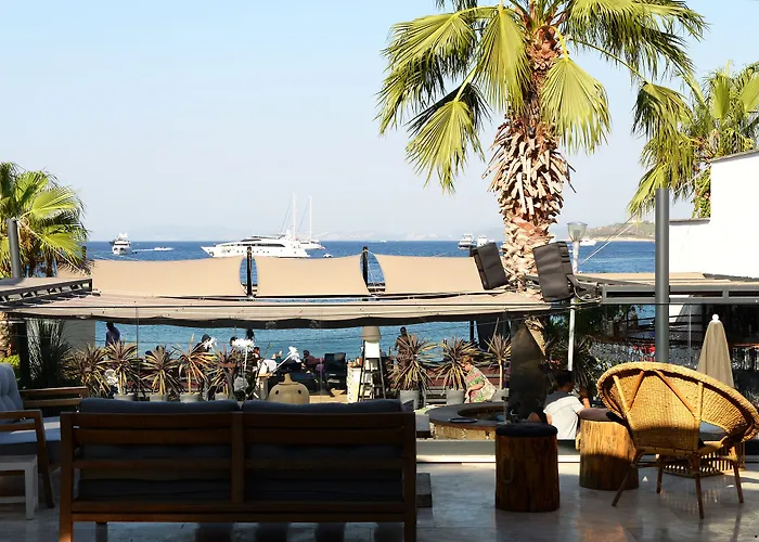 Elista & ゴルトゥルブク